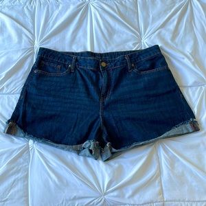 Calvin Klein Jean Shorts 12